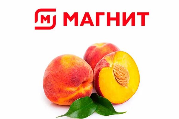 килограмм нектаринов. нектарины в ящике. двенадцать персиков раздали 6 девочкам поровну. килограмм персиков. нектарины магнит.