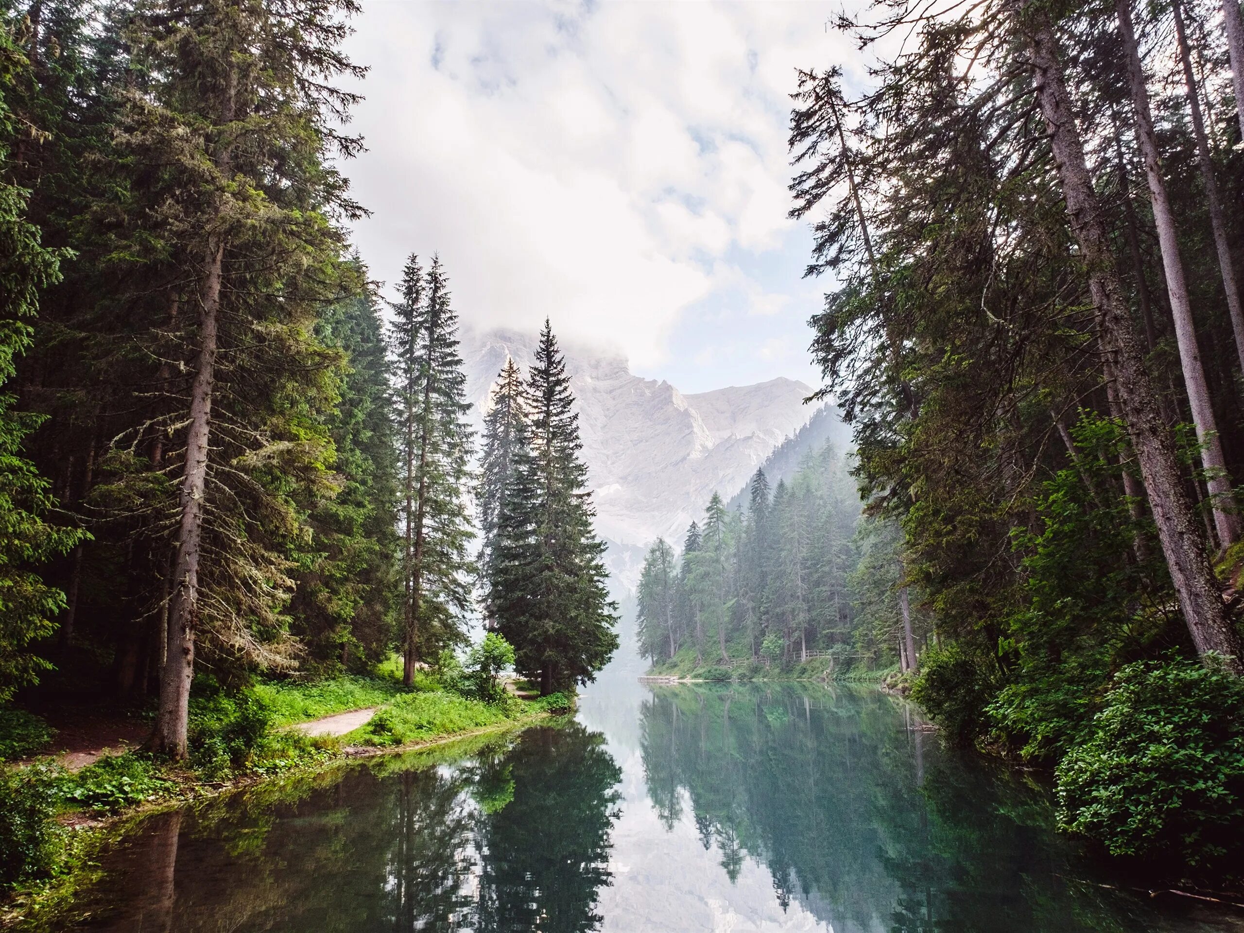 Река мерсед. Горы лес река. Река, горы, лес, river, mountains, forest. Озеро в лесу. Пейзаж.