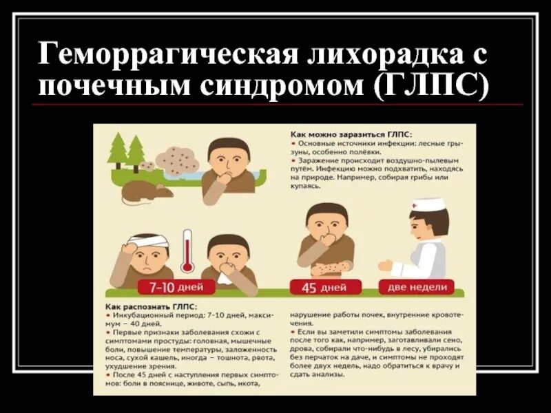 Исходы и осложнения глпс. Этиотропная терапия глпс. Геморрагическая лихорадка с почечным синдромом. Лихорадка почек. Профилактика глпс.