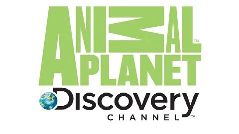 Animal planet