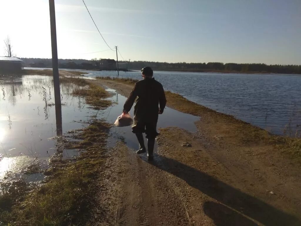 Погода осеченка тверская область. Река осеченка. тверца осеченка. осеченка тверская область.