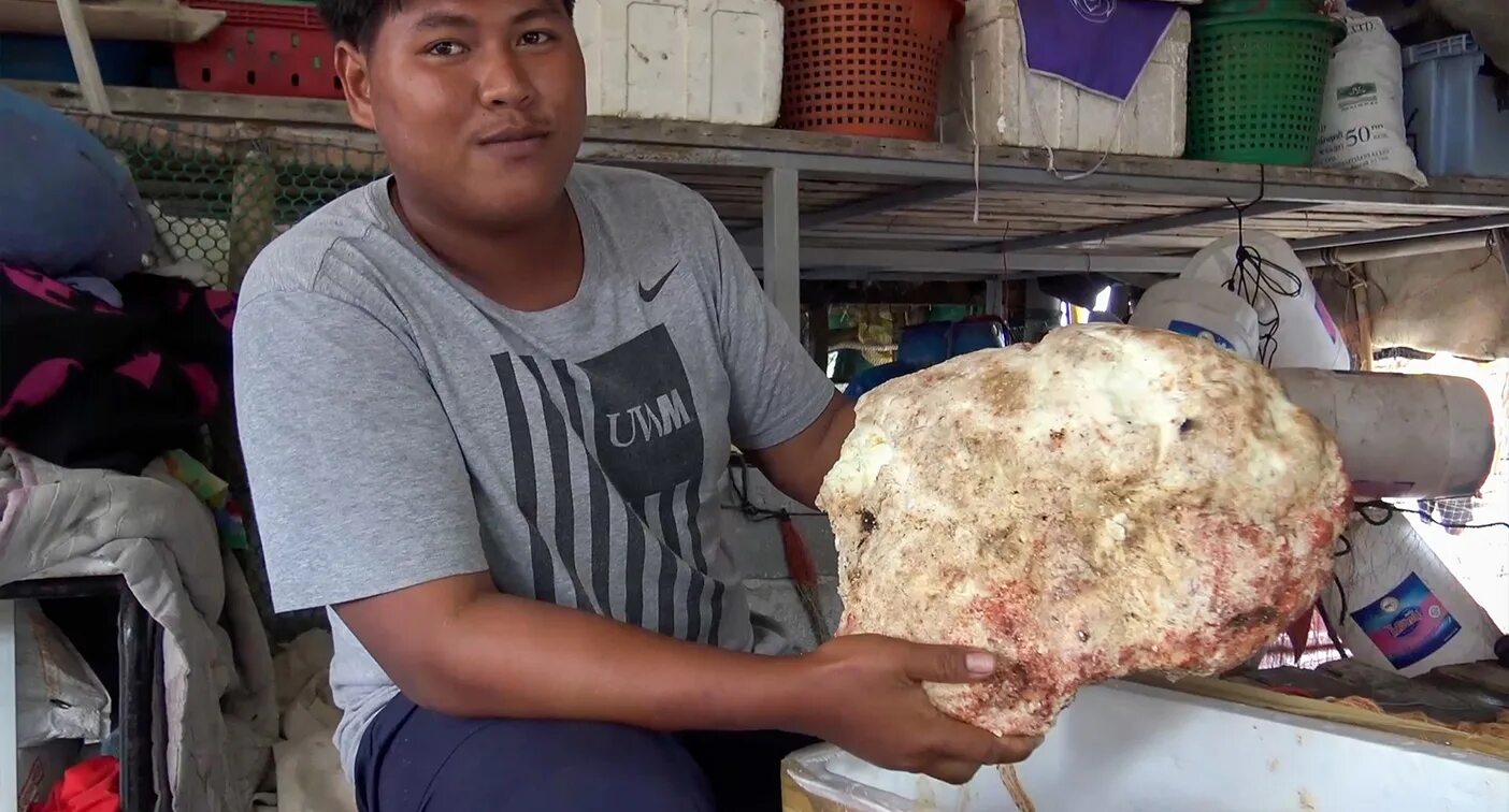 Вырвало кита. Вырвало кита. Вырвало кита. Китовая амбра. Вырвало кита.