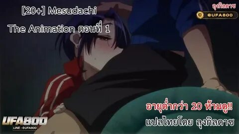 Пацанка mesudachi the animation