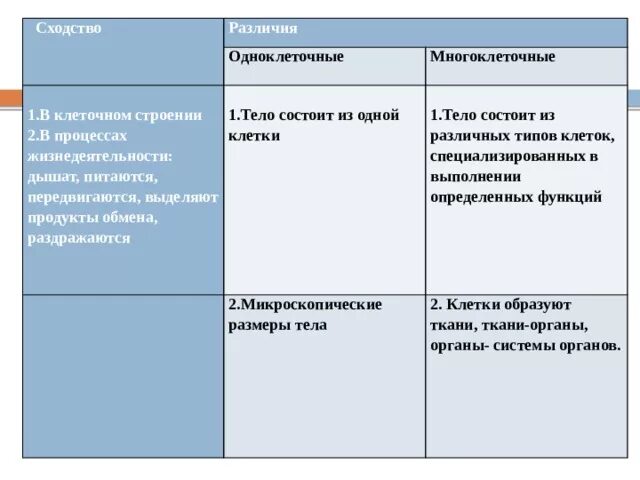 Сходства и различие простейших. Различия одноклеточных и многоклеточных организмов. Сходства и различия одноклеточных и многоклеточных. Сходство одноклеточных и многоклеточных организмов. Сходства и различия одноклеточных и многоклеточных организмов.