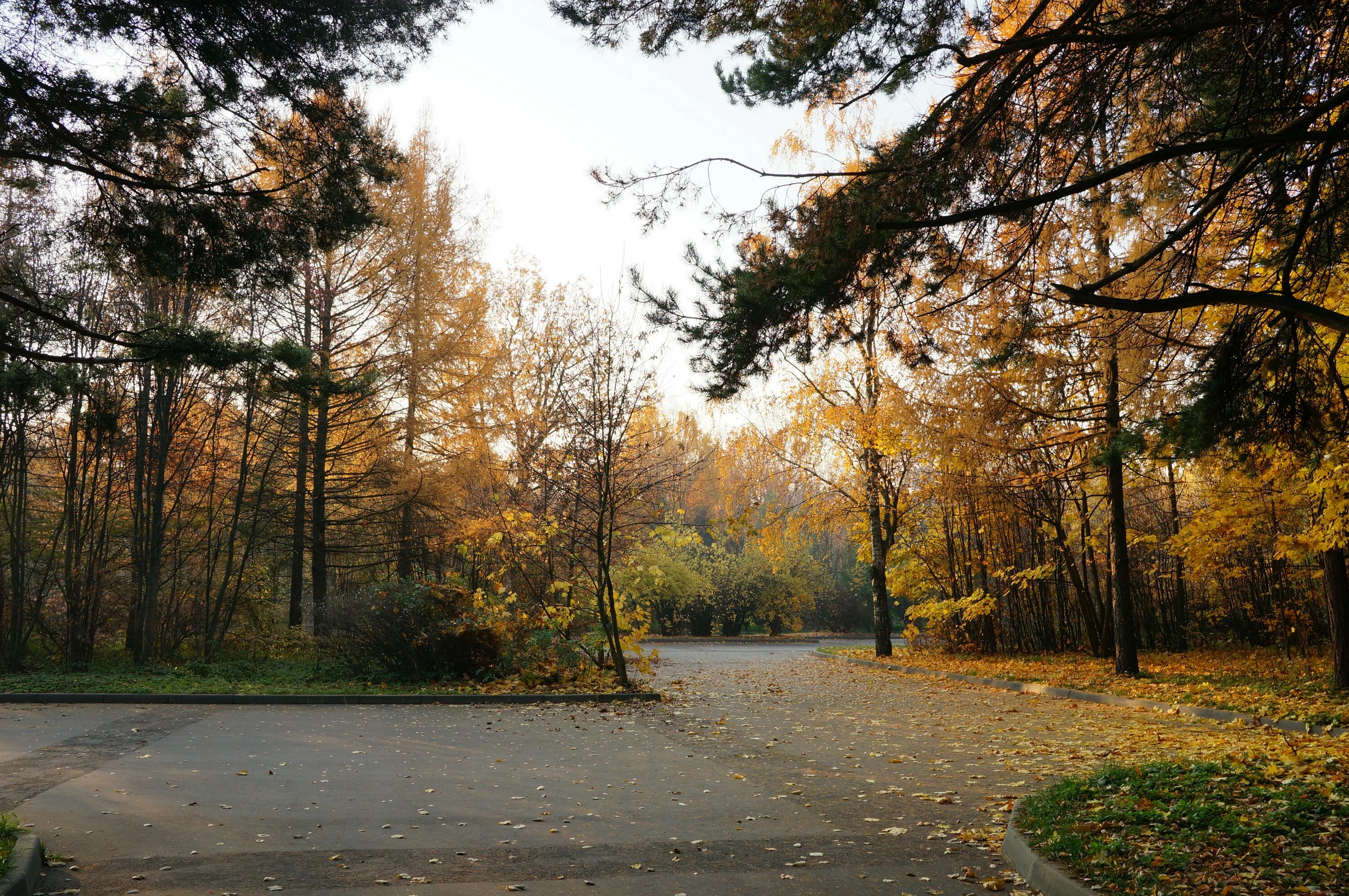 Москва, аллея первой маёвки, 15с3. Благоустройство тротуаров. Проект благоустройства. Рассветная аллея 34. Аллея «лукоморье».