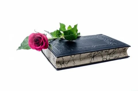 Золотой цветок книга