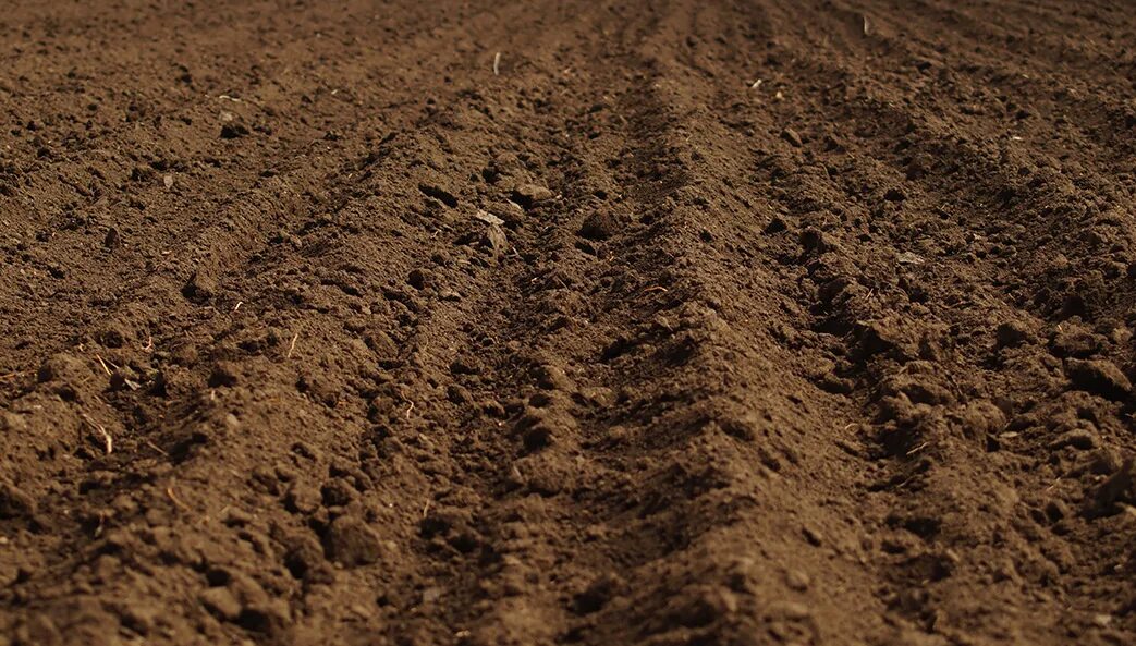 пахотные земли. вспаханная земля сверху. земля почва в руке. вспаханное видеть во сне. кровать на природе.