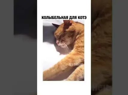 Слушать кошачью колыбельную