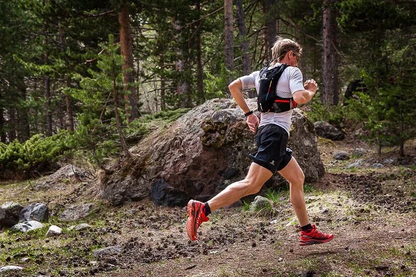 Running stone. Кросс по пересеченной местности. Бег по пересеченной местности. Бег в лесу. БЕГИПО пересеченной местности.