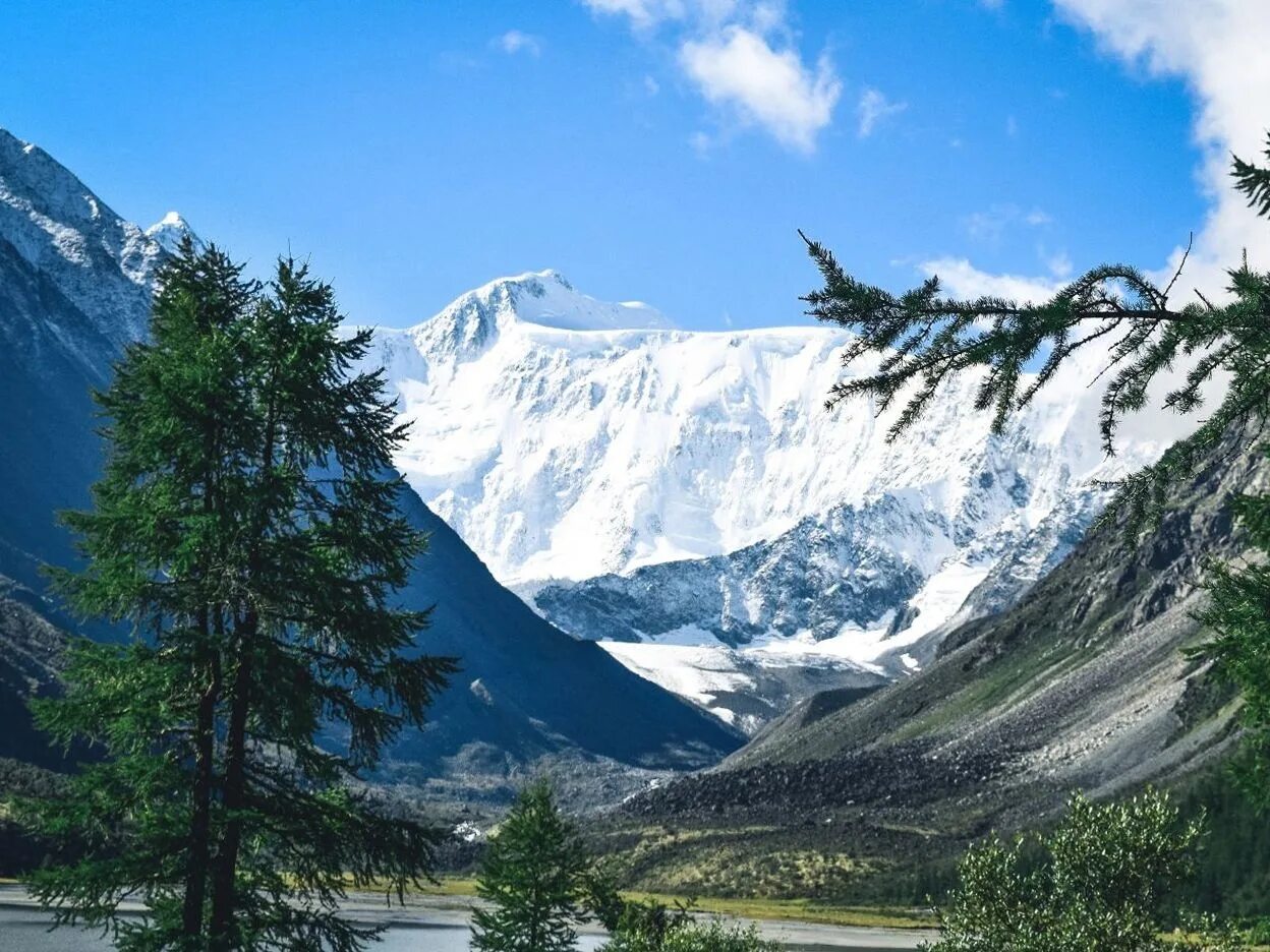 Вершина подножие. Белуха горный Алтай. Священная гора Белуха Алтай. Подножье Белухи горный Алтай.