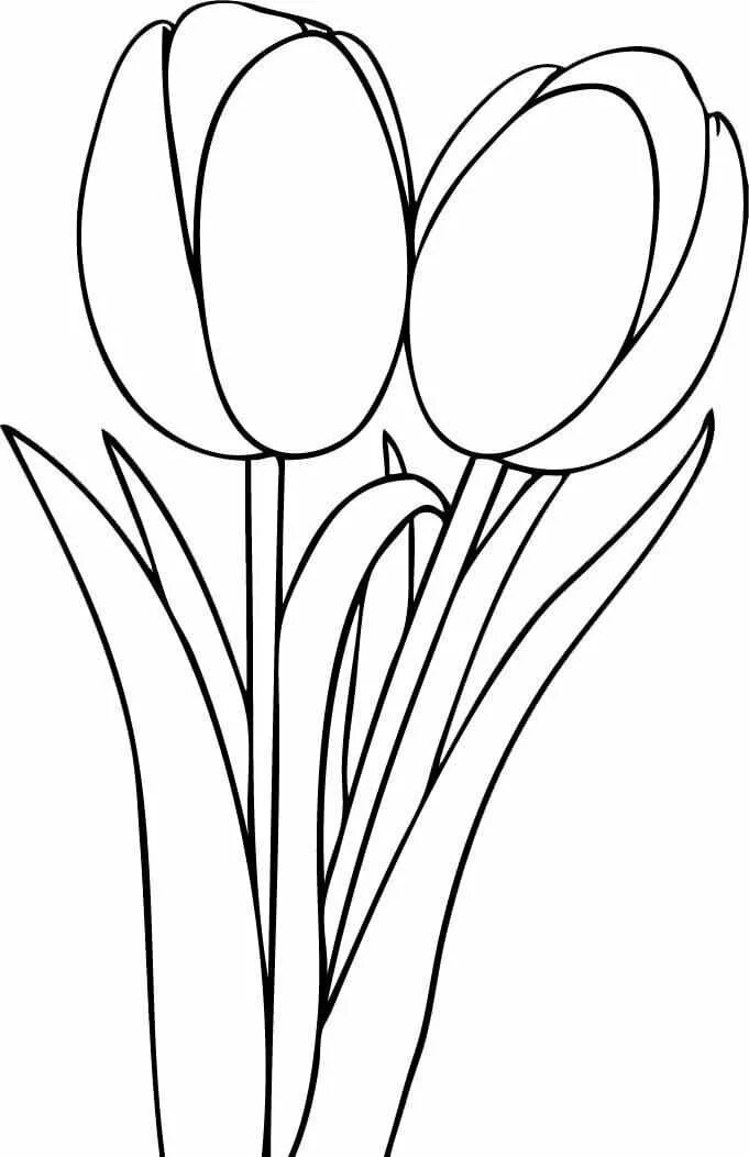 Тюльпаны картинка распечатать. Тюльпан раскраска. Тюльпан раскраска для детей. Тюльпаны рисунок. Раскраска цветы тюльпаны.