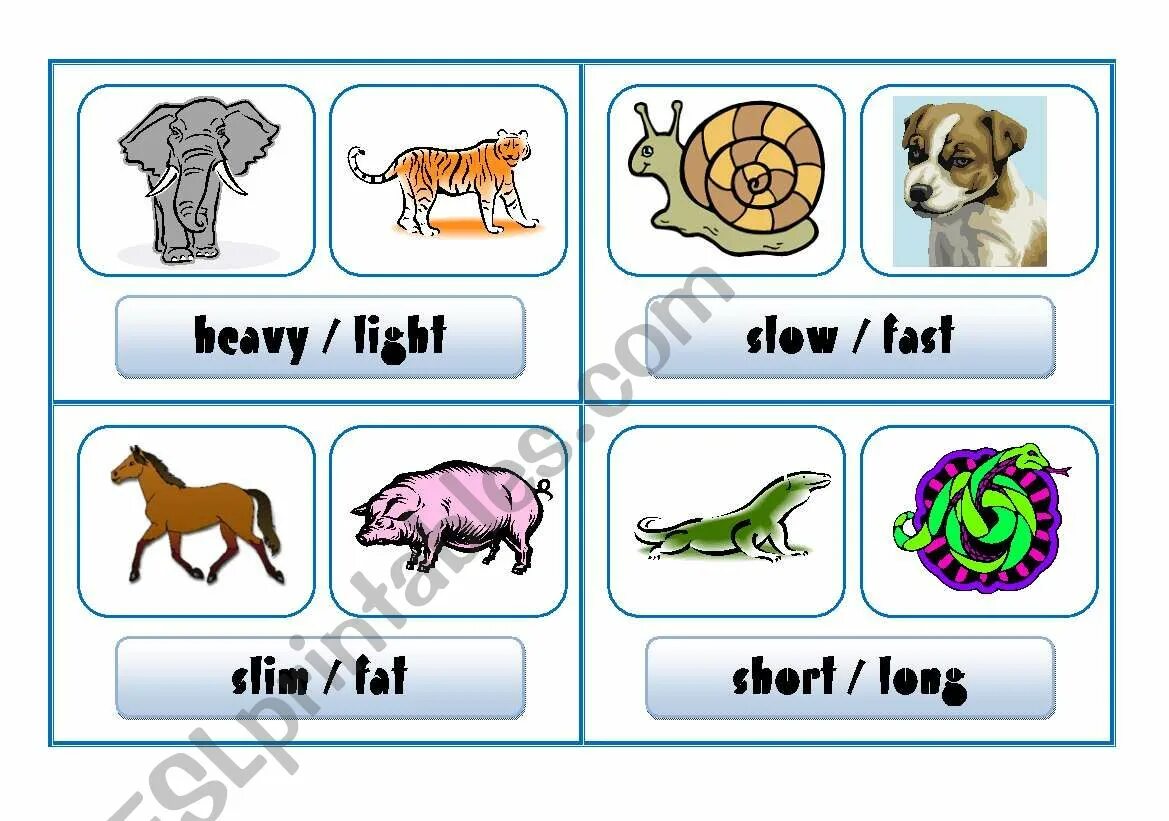 Compare animals. Comparatives animals. Animals Comparison. Comparative adjectives animals. Animals Comparison Worksheet.