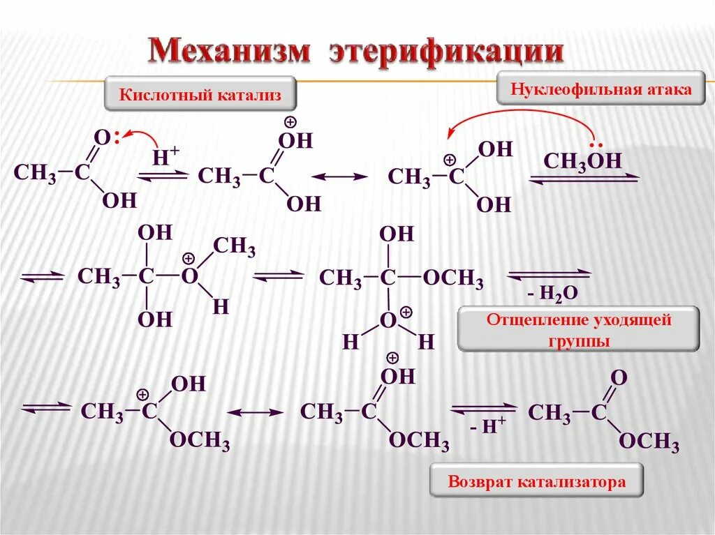 Реакция уксусной кислоты и метилового спирта. Механизм реакции этерификации спиртов. Механизм реакции этерификации карбоновых кислот. Механизм реакции этерификации этанола. Механизм реакции этерификации присоединения.