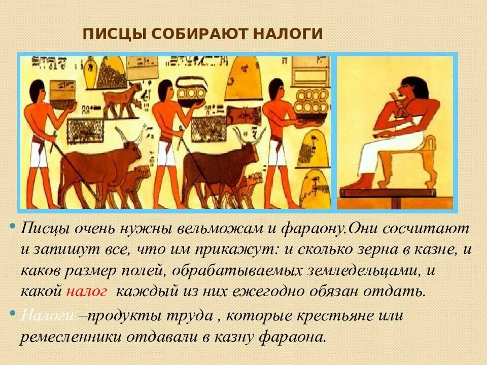 Один из жизни земледельца 6 класс рассказ. Писцы собирают налоги в древнем Египте. Древний Египет землевладельцы и ремесленники в Египте. Жизнь земледельца в древнем Египте 5. Земледельцы древнего Египта 5 класс.