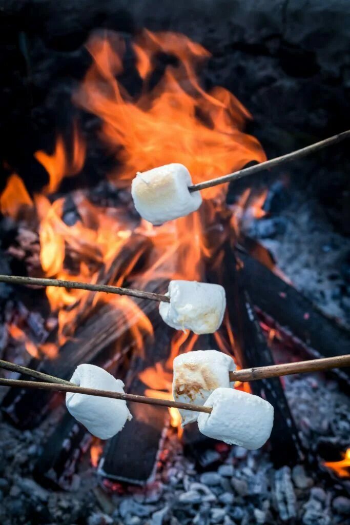 жареный маршмеллоу. маршмеллоу на огне. жареный маршмеллоу на костре. жареные маршмеллоу на сковороде. можно ли жарить маршмеллоу.