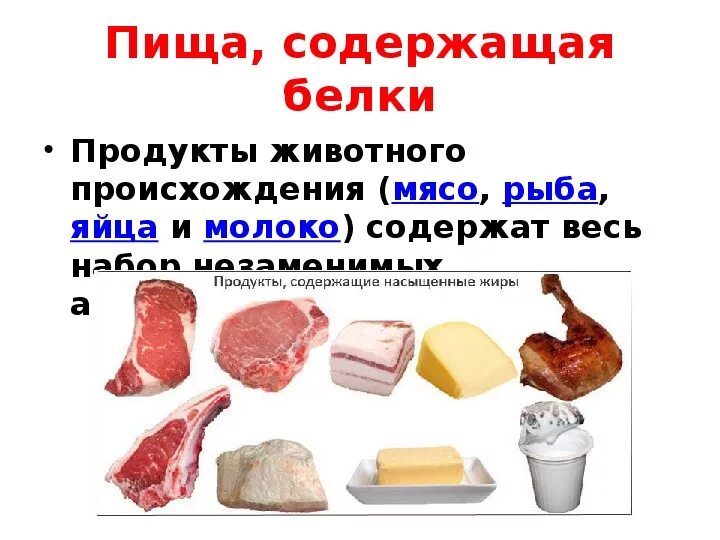 Белок в продуктах. Продукты содержащие белок. Продукты содержащие белки животного происхождения. Белки в каких продуктах. Еда содержимая белок