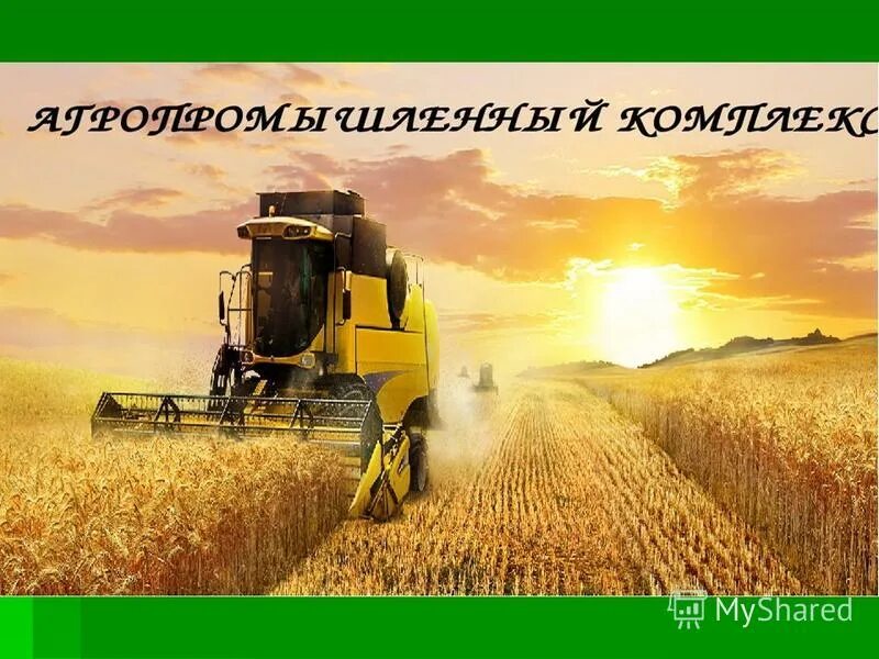 сельскохозяйственные предприятия. ооо аграрное предприятие восход рб. уборка пшеницы. 1с:erp агропромышленный комплекс. 1 агропромышленный комплекс.