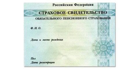 Как узнать номер снилс по свидетельству