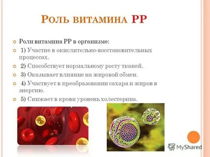 Роль витамина рр