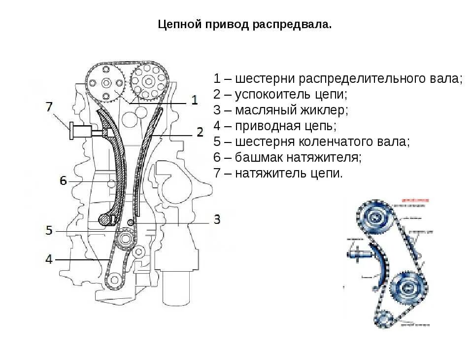 Цепной привод ГРМ на ВАЗ 2101 схема. Схема цепи ГРМ 2107. ГРМ 2107 распредвал. Схема привода распределительного вала ВАЗ 2107.