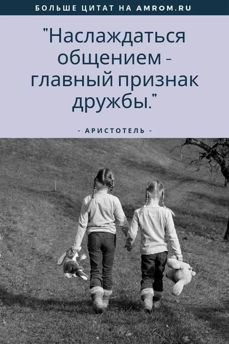Дружба высказывания цитаты. Цитаты про дружбу. высказывания о дружбе. афоризмы про дружбу. цитаты про друзей.