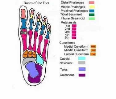 Feet parts