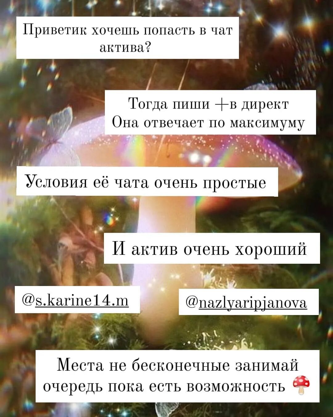 Актив чат. Чат актива. хочешь в чат актив. чат актива в инстаграм. правила чат актива.