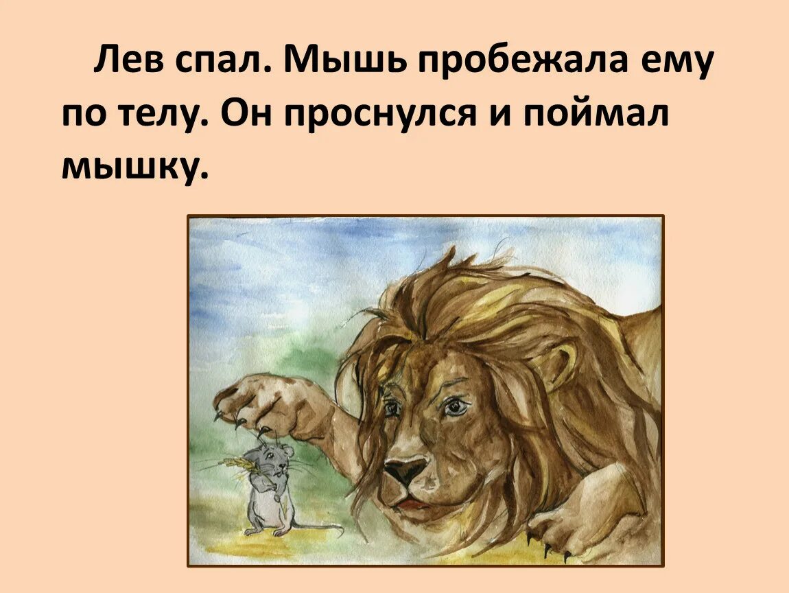 Басня толстого лев и мышь. Лев спал мышь пробежала ему по телу он проснулся и поймал. Лев спал мышь пробежала. Лев спал. Мышь пробежала ему по телу.