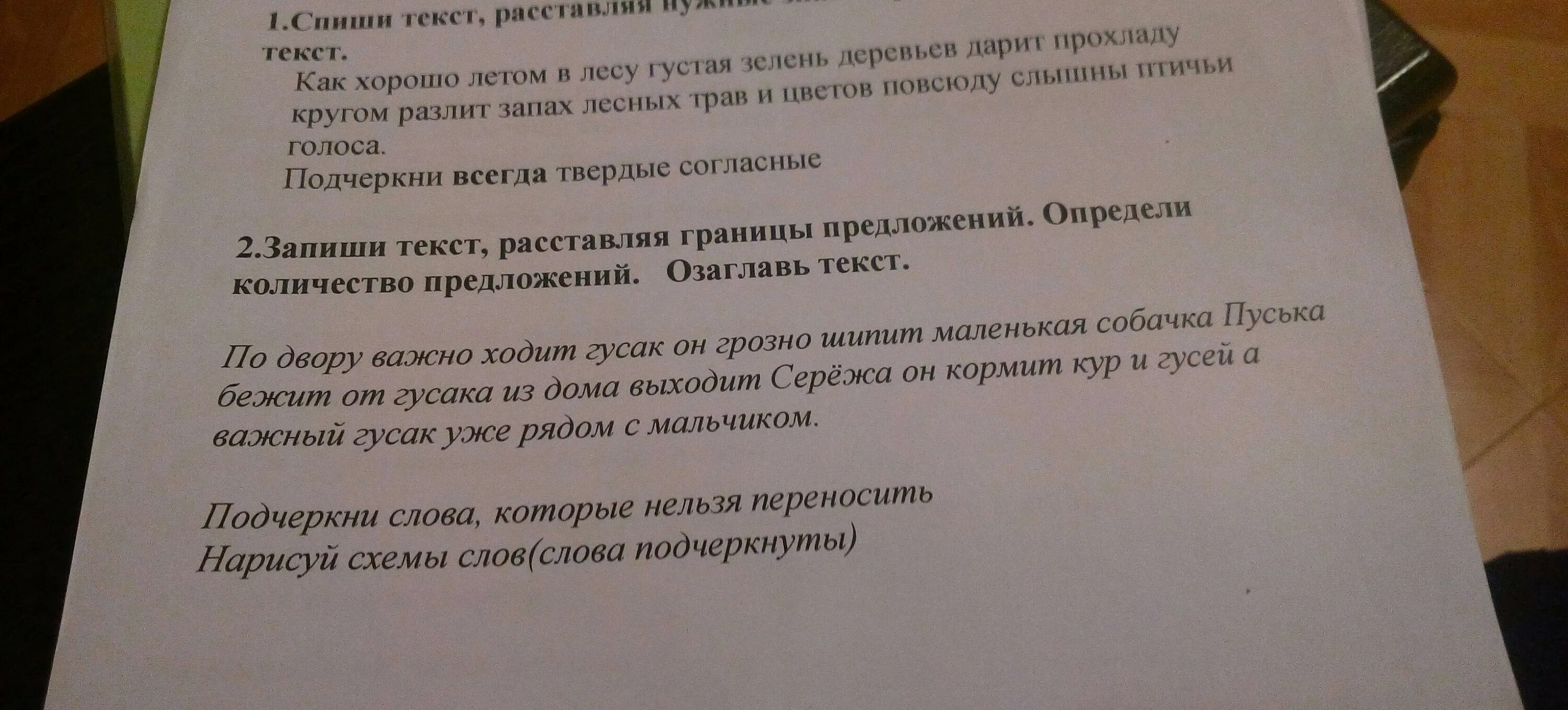 Определи границы предложений спиши текст. По двору важно ходит Гусак он грозно. Определи границы предложений 1 класс. Определить границы предложений 4 класс. Текст хорошо летом в лесу.