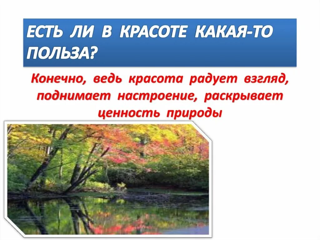 Польза конечно воздух например. Красота и польза. Красота и польза в искусстве. Как соотносятся красота и польза в искусстве. Как соотносятся красота и польза.