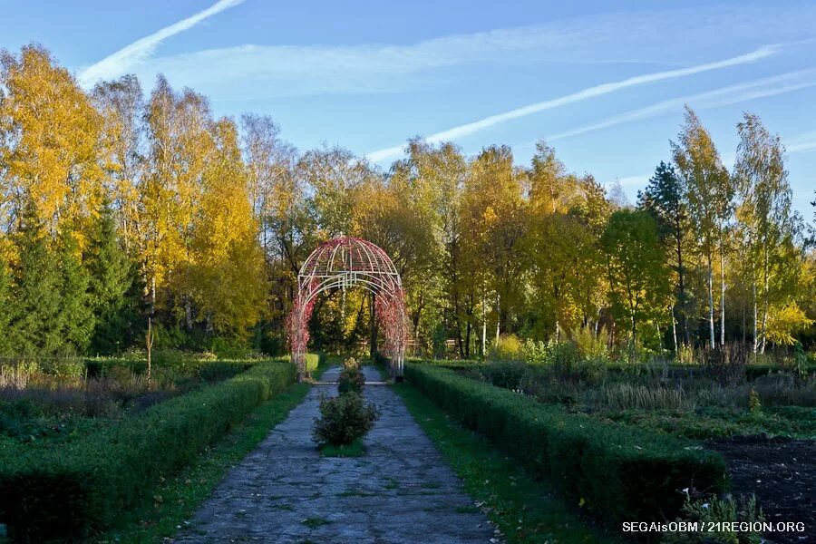 Ботанический сад, Чебоксары - прайс-лист, купить саженцы, официальный сайт, фото