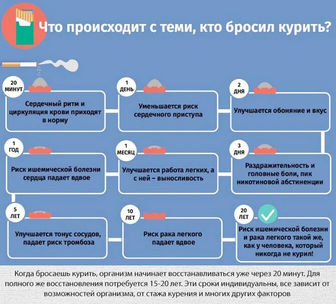 Через сколько восстанавливается цикл. Что происходит когда бросаешь курить. Бросил курить что происходит. Что будет если бросить курить. Бросить курить чточто происходит.