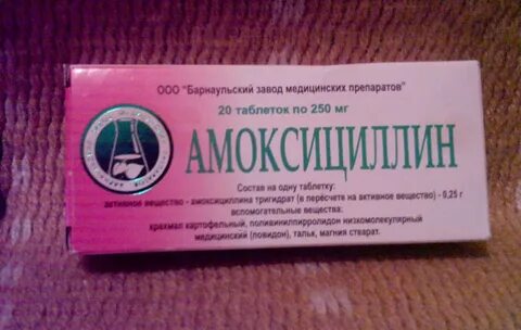 Антибиотики коту амоксициллин