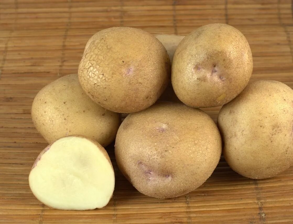 Семенной картофель синеглазка купить. Картофель Синеглазка элита. Картофель семенной Синеглазка. Семена картофеля Синеглазка. Сорт картофеля Синеглазка.