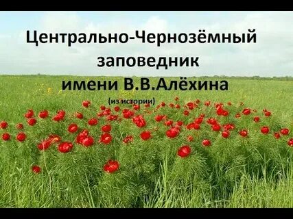 Центрально черноземный государственный заповедник имени алехина