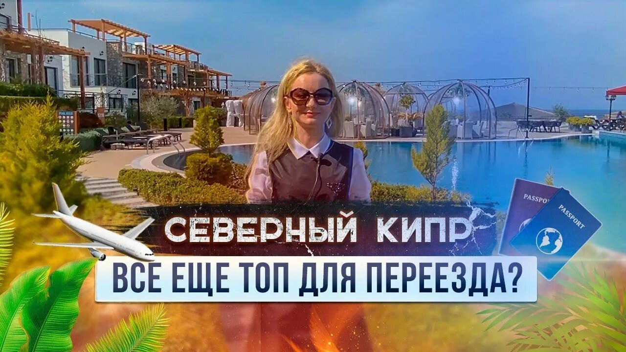 Переезд на кипр. Черепахи на северном кипре.