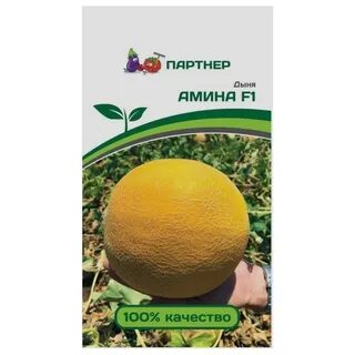 Дыни партнер