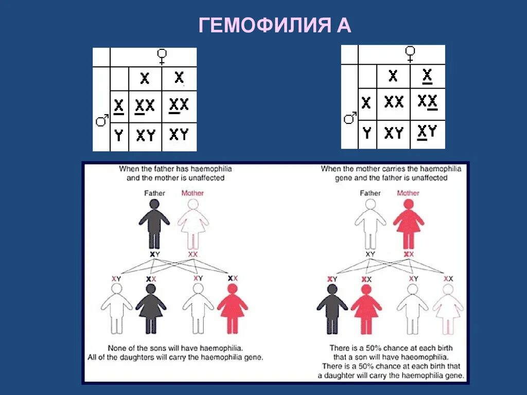 Схема наследования гемофилии. Степени гемофилии