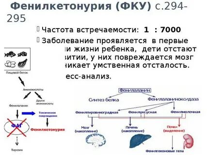 Фенилкетонурия медицинская генетика