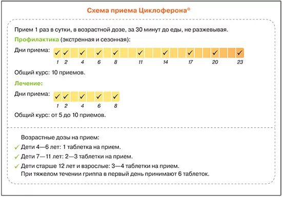 Циклоферон сколько взрослым