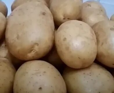 Сорт аризона картофель характеристика фото