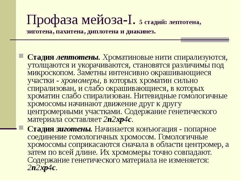 Профаза генетический материал. Профаза рисунок. Профаза 1 мейоза лептотена зиготена. Профаза метафаза анафаза телофаза. Профаза генетический материал.