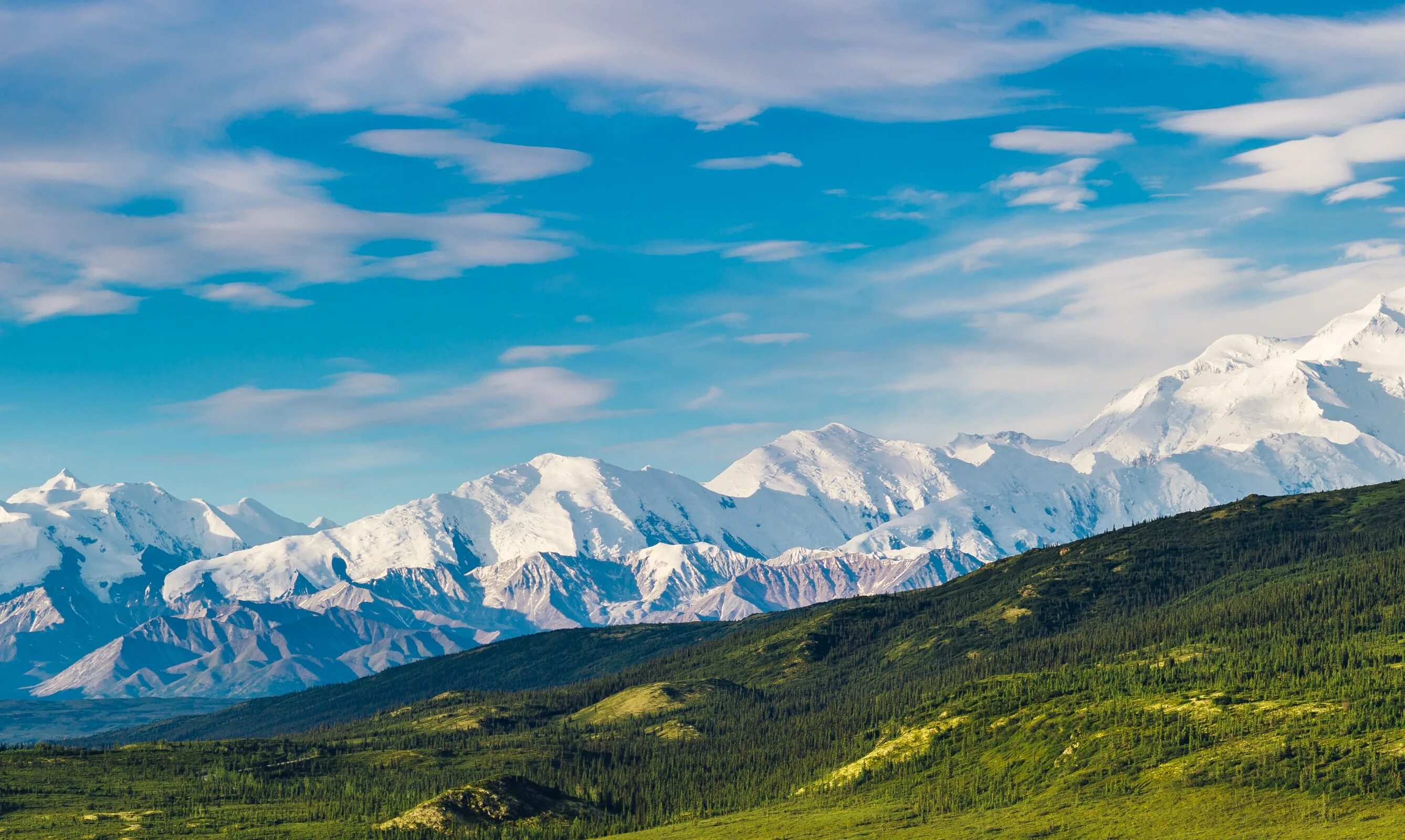 Тайна лазоревых гор. Национальный парк Денали Аляска. Хищники горы Денали. Горы вид сверху. Природа.