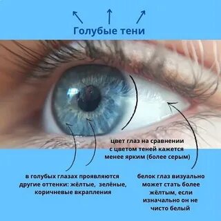 Серо голубые глаза сколько людей