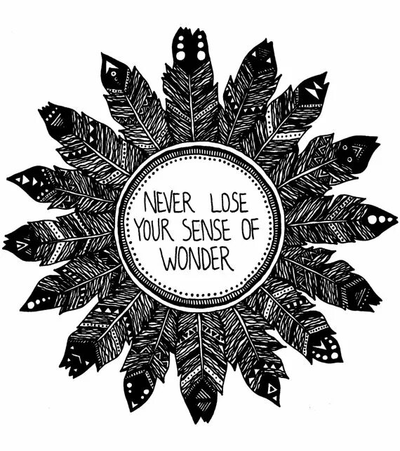 Sense of wonder. Sense of wonder. Sense of wonder. Dan sieg erko. O.