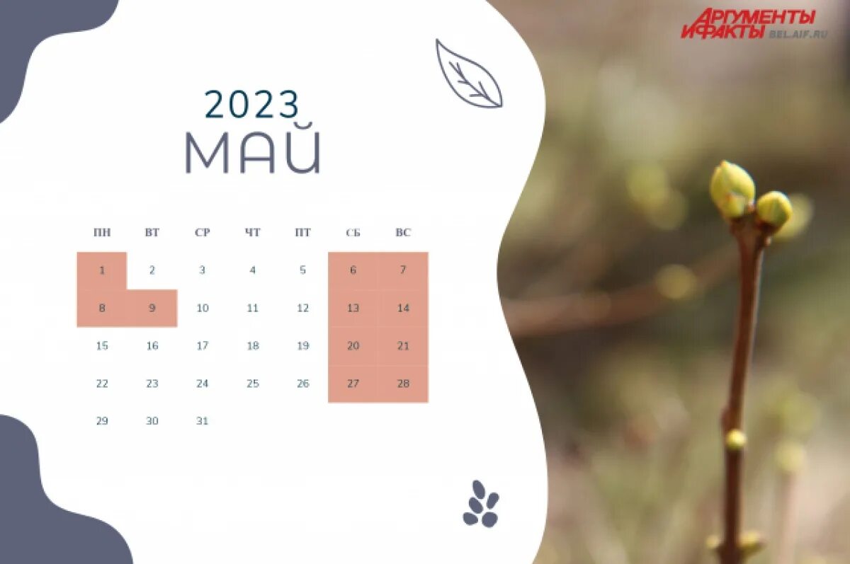 8 мая выходной или нет. Майские каникулы в 2023 году. Выходные в мае. Выходные в мае 2023 года. Выходные на майские праздники в 2023 году в России.