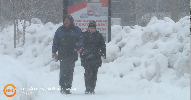 Золотая метель бушевать перестанет. Спасение рыбы всю неделю бушевала метель. На Ямале снег и вьюга Вигдорова е. Текст спасение рыбы всю неделю бушевала метель. Спасение рыбы диктант всю неделю бушевала метель.