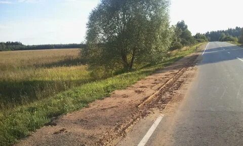 Погода в пленицино шаховской