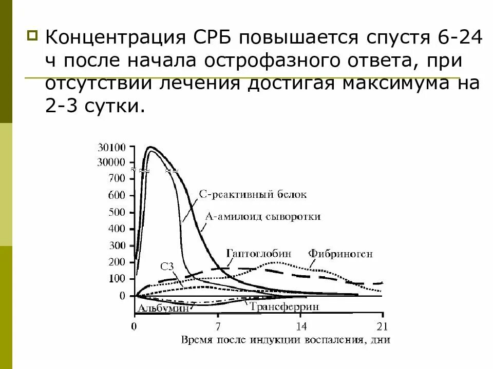 Концентрация СРБ. С-реактивный белок. С-реактивный белок (СРБ). Концентрация с-реактивного белка.