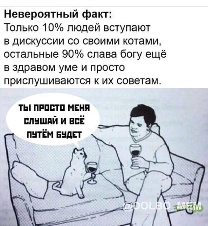 Только 10 процентов людей вступают в дискуссии со своими котами. 10 % Людей вступают в дискуссии с котами. Только 10 людей вступают в дискуссию со своими питомцам. Невероятные факты.